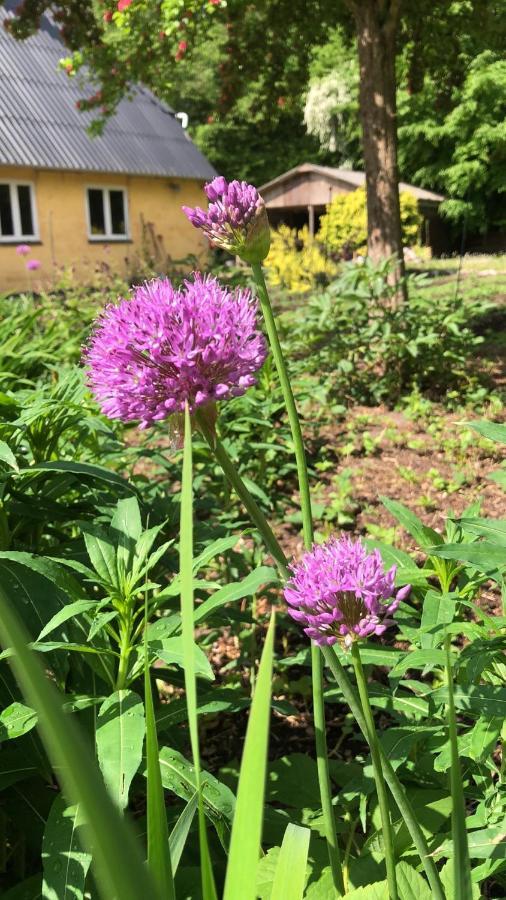 Skovfogedhuset Abildskov (Broby) Bagian luar foto